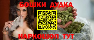 амф Новодвинск