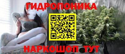 jwh Новозыбков