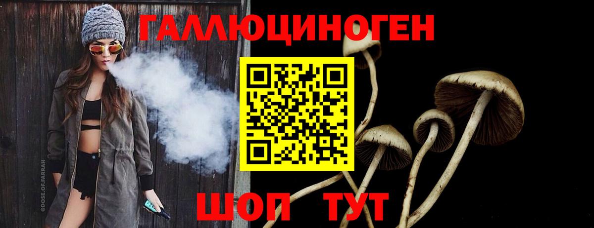 хочу   Галлюциногенные грибы Psilocybe  Соликамск  Вход с VPN  Псилоцибиновые грибы прущие грибы 